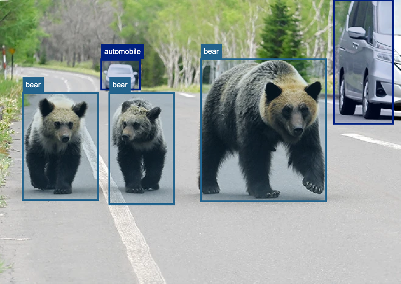 WildSight Algotechniq